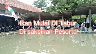 Mabar Ikan Mas Event Mingguan Kolam 26 Semarang