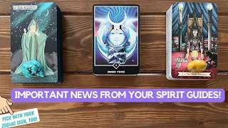 Important News from Your Spirit Guides! 📞 😇 🎉 | Timeless Reading