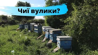 Чекали рій? А приїхала пасіка🥴