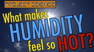 What Makes Humidity Feel So Hot? | Project Science
