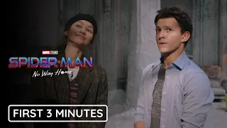 SPIDER-MAN: NO WAY HOME (2021) Opening Scene - FIRST 3 MINUTES | Marvel Studios & Sony Pictures (HD)