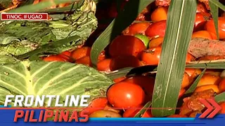 Tone-toneladang kamatis, iba pang gulay itinatapon na lang dahil sa oversupply