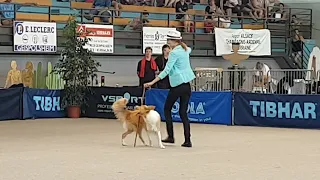 Anastasiia Beaumont and Yuki. Grand Prix France 2018 - 1st place