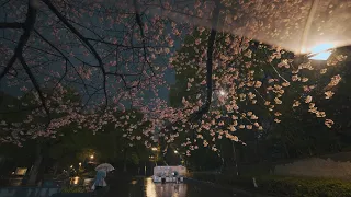 Rain Tokyo, calm walking at night