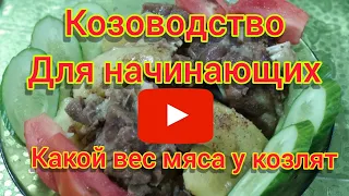 Козлятина, мясо коз, сколько вешают мясом козы