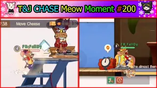 Tom And Jerry Chase | Meow Funny Moment EP#200