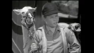 Lassie - Episode #302 - "A Career for Lassie" - Season 9, Ep. 11 - 12/16/1962