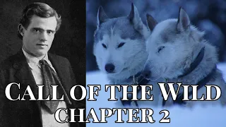 The Call of the Wild by Jack London - Chapter 2 Audiobook (1903)