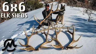 BIG BROWN ELK SHEDS! Epic Day