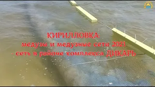 КИРИЛЛОВКА: медузы и медузные сети 2021 - сеть в районе комплекса ДИКАРЬ