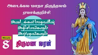 Miracle Witness -8 | திருமண வரன் | Adaikala Madha Shrine | Elakurichi