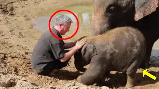 Crying Elephant Begs Man For Help. What Happens Next Is Incredible!