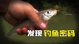 【野外釣魚】我終於發現的爆護密碼，一直想著空軍就能釣到魚，還有大傢伙！