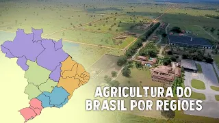 PRINCIPAIS CULTIVOS DA AGRICULTURA DO BRASIL EM CADA REGIÃO!