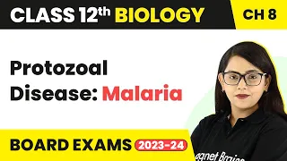 Protozoal Disease: Malaria - Human Health & Disease | Class 12 Biology Chapter 8 (2022-23)