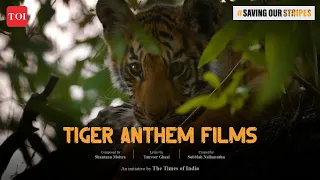 Tiger Anthem Films 2 | Shantanu Moitra | Subbiah Nallamuthu | #SavingOurStripes