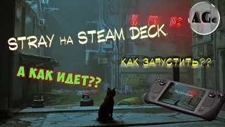 Устанавливаем пиратские игры на Steam deck. Stray - как установить?