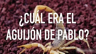 Estudio Bíblico | El aguijón en la carne - REFLEXIÓN.