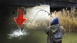 Explosive Fishing! His biggest ever PIKE…