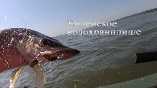 Щука отмочила... Окунь на тейл-спиннеры на Вилейке. Рыбалка в Беларуси.