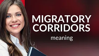 Exploring the Pathways: Understanding Migratory Corridors