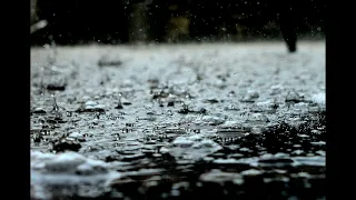 [빗소리] rain sound | 비오는날 | 잠들기전 |백색소음 | rain | 내마음도 시원해지는 | 감성 사운드 (광고없음 !)