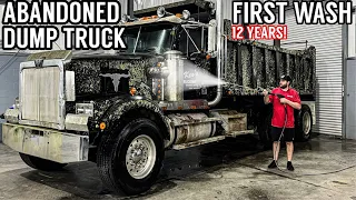 Disaster Barnyard Find | Extremely Moldy Truck | First Wash In 12 Years! | Car Detailing Restoration