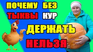 Почему без ТЫКВЫ кур держать НЕЛЬЗЯ,