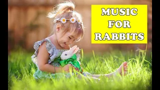 Fun Music for Rabbit! Energize and Give Fun to your Love Rabbit