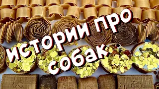 🐕Истории о собаках с мылом🤩 и пеной🧼 #3