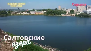 Харьков.Озеро Кирова, озеро Квитучее.Водоемы Салтовки