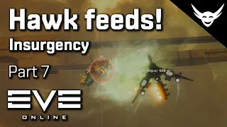 EVE Online - Feeding a Hawk - Insurgency Part 7