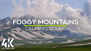 8 HRS of Relaxing Bird Songs and Crickets Sounds - 4K Fog in the Mountains of North Caucasus, Russia