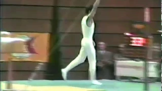 1983 World Gymnastics Championships - Men's Individual Apparatus Finals (Endo HV)