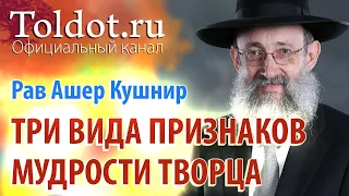 Рав Ашер Кушнир. Пути распознания мудрости Творца в творении. Обязанности сердец 19