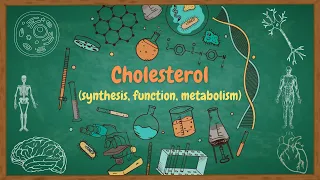 lipids -7- Cholesterol Metabolism - استقلاب الكوليسترول واصطناعه