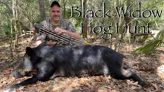 BLACK WIDOW HOG HUNT! Traditional Bowhunting Adventure!!