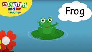 Episode 33: Find the Frog! with Akili! | Episode of Akili and Me | Learning videos for toddlers