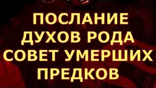 Послание от духов рода🙌 Совет умерших предков