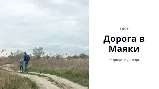 Дорога в Маяки, трасса Одесса-Рени, река Днестр
