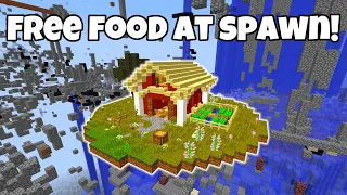 I Built a Farm In The Middle Of Spawn on 2b2t