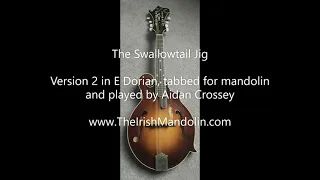 The Swallowtail Jig - version 2 in E Dorian tabbed for mandolin and played by Aidan Crossey