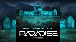 Alan Walker, K-391, Boy In Space - paradise (Nacem Remix)