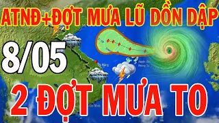 Dự báo thời tiết hôm nay và ngày mai 8/5/2024 | Dự báo thời tiết trong 3 ngày tới