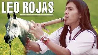 BROTHERS - Best Of Leo Rojas | Красивые пейзажи природы под прекрасную музыку - 1 HOUR LOOP