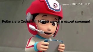 Комикс: Новый Щенок 1 часть