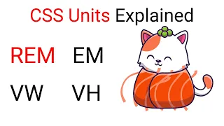 CSS Units [REM, EM, VW, VH, %] explained with examples || CSS 2021 ✨✨