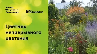 Цветник непрерывного цветения. Легко и просто