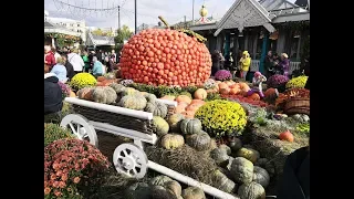 Фестиваль "Золотая осень" в Москве 2019. Прогулки по Москве