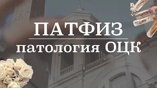 Патология ОЦК (нормоволемия, гиповолемия, гиперволемия) | Патологическая физиология